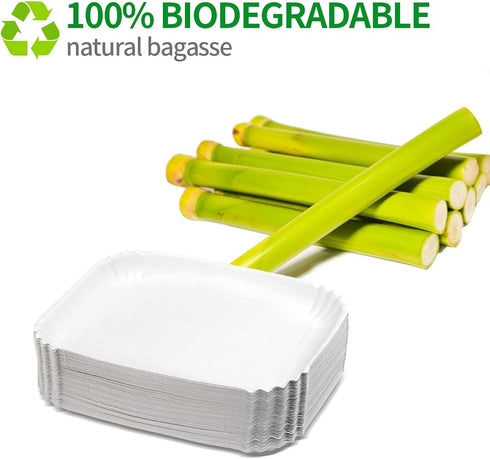 Pappteller – Einweg Teller Eckig und Rund für Party Einweggeschirr Einwegteller Partygeschirr